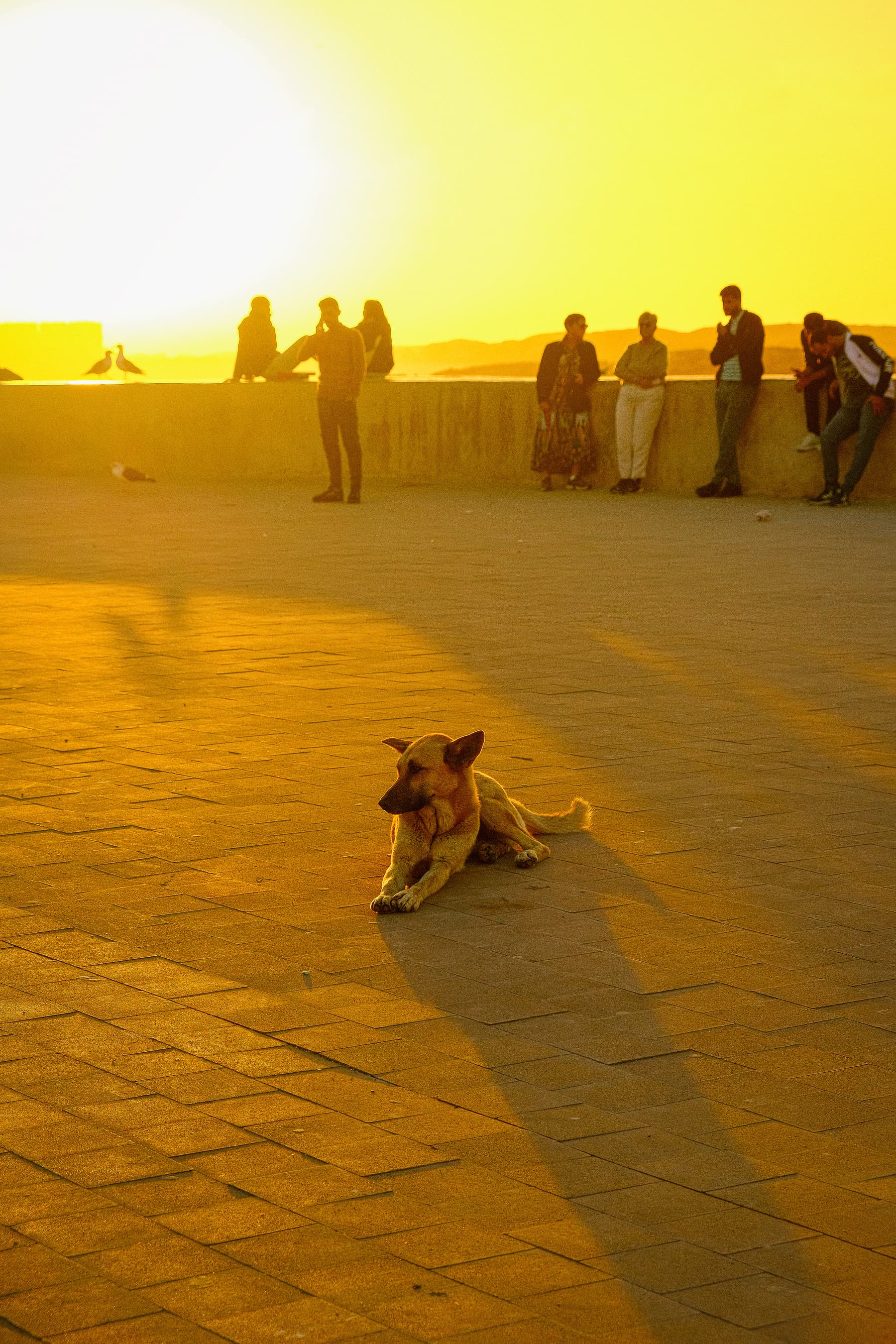 Skala at Sundown - Fine Art Print