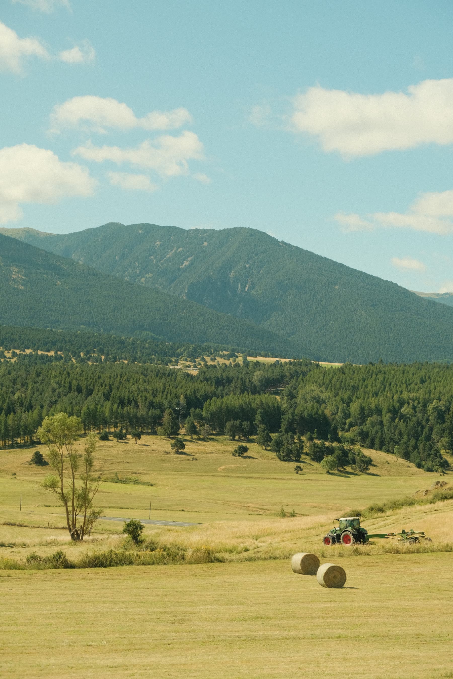 Pyrenean Valley