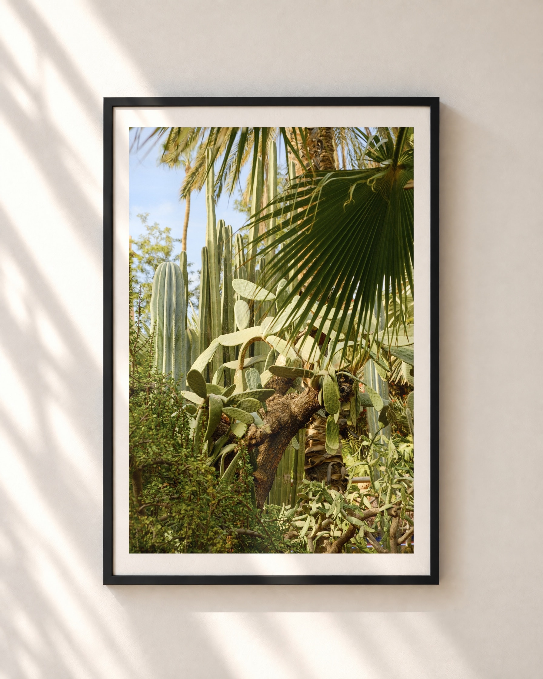 Cactus Light, framed print shown on a wall