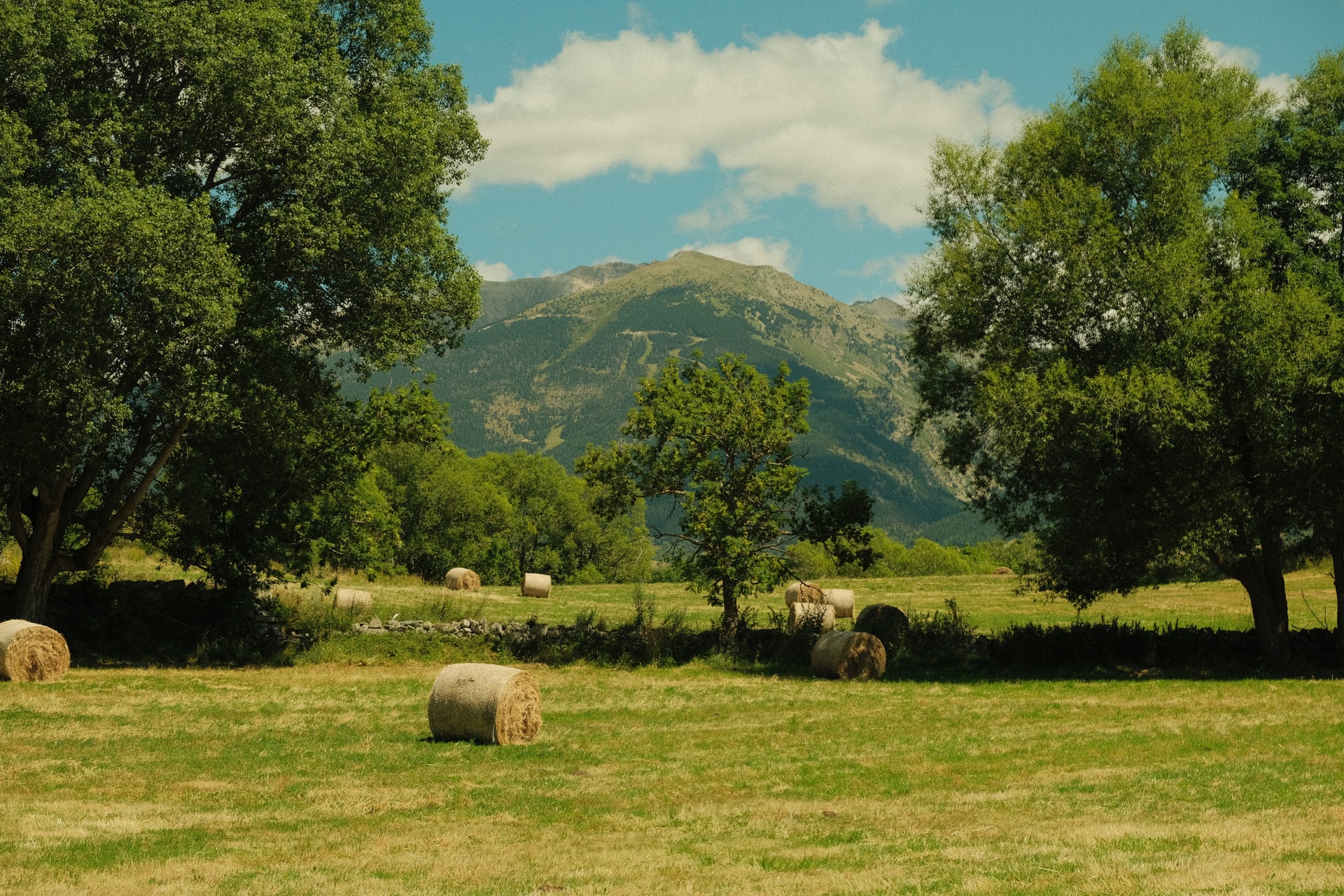 A wide Cerdagne pasture dotted with hay bales and framed by oaks, the Pyrenees holding the far edge of the valley
